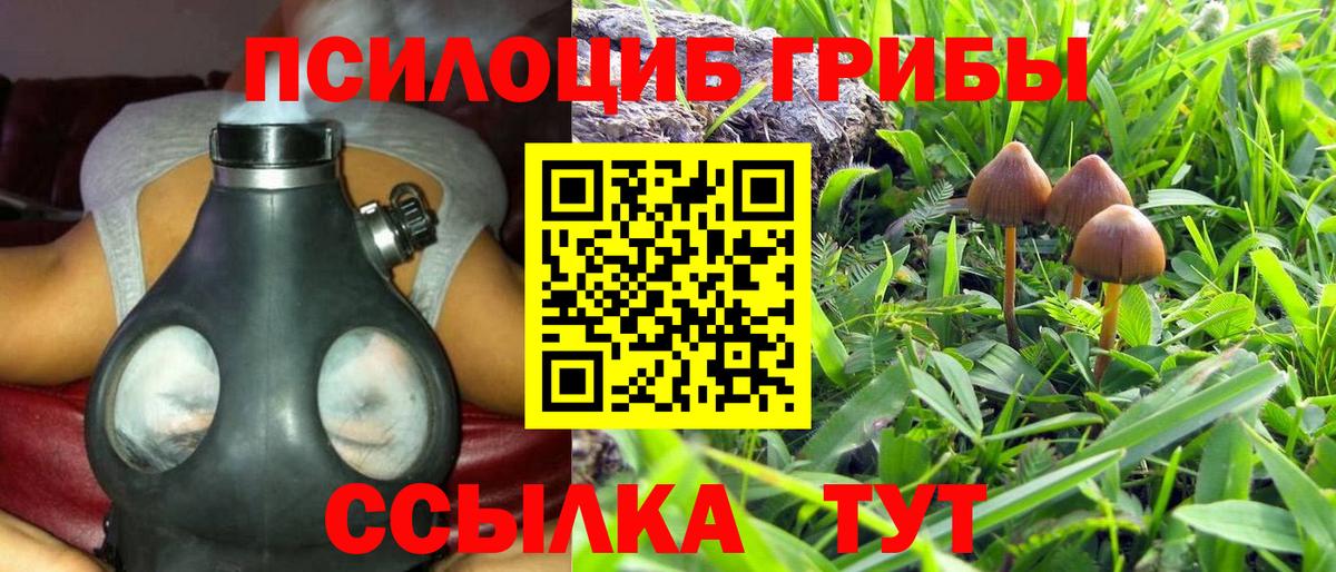 Бутурлиновка  Галлюциногенные грибы Cubensis  Вход с VPN  Галлюциногенные грибы MAGIC MUSHROOMS 
